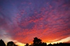 Sky over Dewi Sant: Image used as book cover for Traitor's Daughter